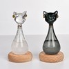 Weather Predictor Cat Bottle Black Ergonomic Rugged Glass Weather Predictor