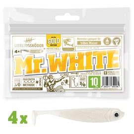 Lieblingsköder Rubber Fishing Bait for Perch Zander Pike 10 cm, Pack of 4, 10 cm