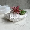 Wehous Large Conch Silicone Mold Unique Conch Shaped Tray Resin