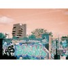 LomoChrome Turquoise 110 ISO 100-400