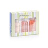 Schätz & Cattani Spa Estuche para Regalo Mini Rosas 3
