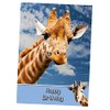 Giraffe Birthday Card