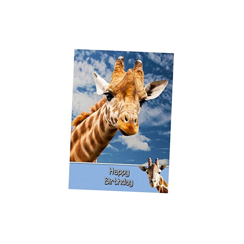 Giraffe Birthday Card