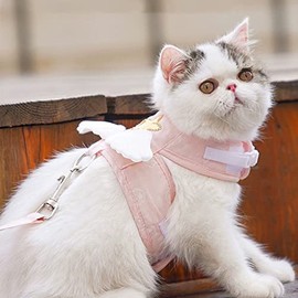 Qinlorgo Correa de Arnés para Gatos, Alas de ángel de Moda Chaleco de Arnés para Gatos Correa Ajustable Cómoda para Gatitos para Suministros para Masc
