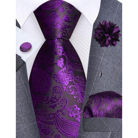 Gusleson Mens Paisley Tie for Wedding Silk Purple Necktie Pocket Square Cufflinks and Lapel Pin Brooch Set (UK6105-30)