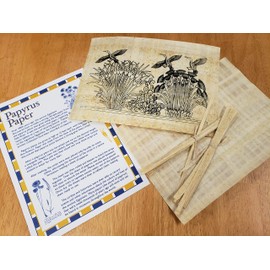 DISCOVERIES EGYPTIAN IMPORTS Papyrus Activity Kit - Educational Papyrus Paper Craft Kit - Made in Egypt