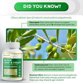 NUSORAN Premium Olive Leaf & Fruit - 13-in-1 with Rutin, Grape Seed, Astaxanthin, PQQ - Max Absorption - 150 Capsules - Made in The USA - Non-GMO, Gluten-Free, Lab Tested