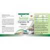 Fairvital | Eisen Kapseln plus Vitamin C, Biotin u. B12