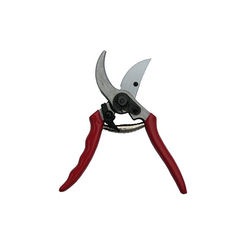 Growtech Economy Pruner
