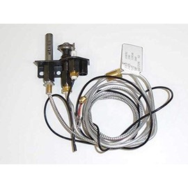 IHP OEM FMI Pilot Assembly - NG (J4116) - Original OEM Part