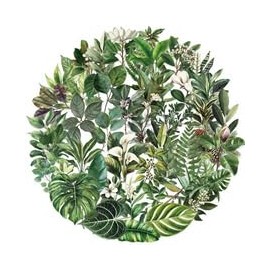 Pack of 50 Transparent Green Leaf Stickers for Laptop, Car, Fridge, Motorcycle, Bicycle, Bumper, Cute Plant Vinyl Decals, Adults, Children, Gift, Leaves Aesthetic Cartoon Graffiti Stickers