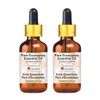 Greenwood Essential Pure Eucalyptus Essential Oil (Eucalyptus Globulus) with Glass