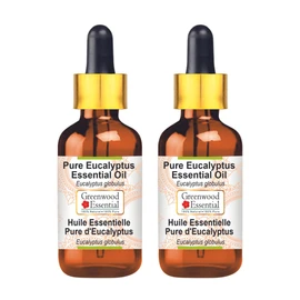 Greenwood Essential Pure Eucalyptus Essential Oil (Eucalyptus Globulus) with Glass Dropper Natural Therapeutic Quality Steam Distilled (Pack of Two) 100 ml x 2 (6.76 oz)