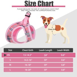 PAWCHIE Dog Harness and Leash Set - No Pull Soft Air Mesh Dog Vest Harness, Adjustable Comfort Padded Harness for Extra-Small/Small Medium Large Dogs Cats