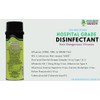 Green Bean Buddy Hospital Grade Disinfectant Flu Spray, Tubercilocidal, Herpes