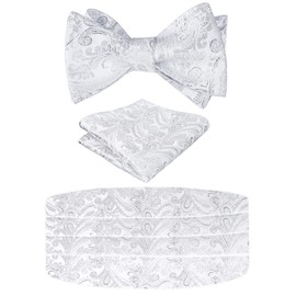 Alizeal Conjunto De Faja Y Pajarita De Cachemira Para Hombre Con Pañuelo (Plata Brillante)