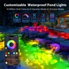 LyLmLe LED Pond Lights with APP Control, 6W SS316 Stainless
