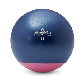 HATACHI Official Balance Ball, StayPlus, 21.7 inches (55 cm), Gym Ball Stay Plus, 21.7 inches (55 cm), 21.7 inches (55 cm), Gym Ball, RelaxingWork NH3620 Hadachi Industry (Hatachi)