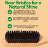 GranNaturals Boar Bristle Slick Back Hair Brush for Sleek Ponytail