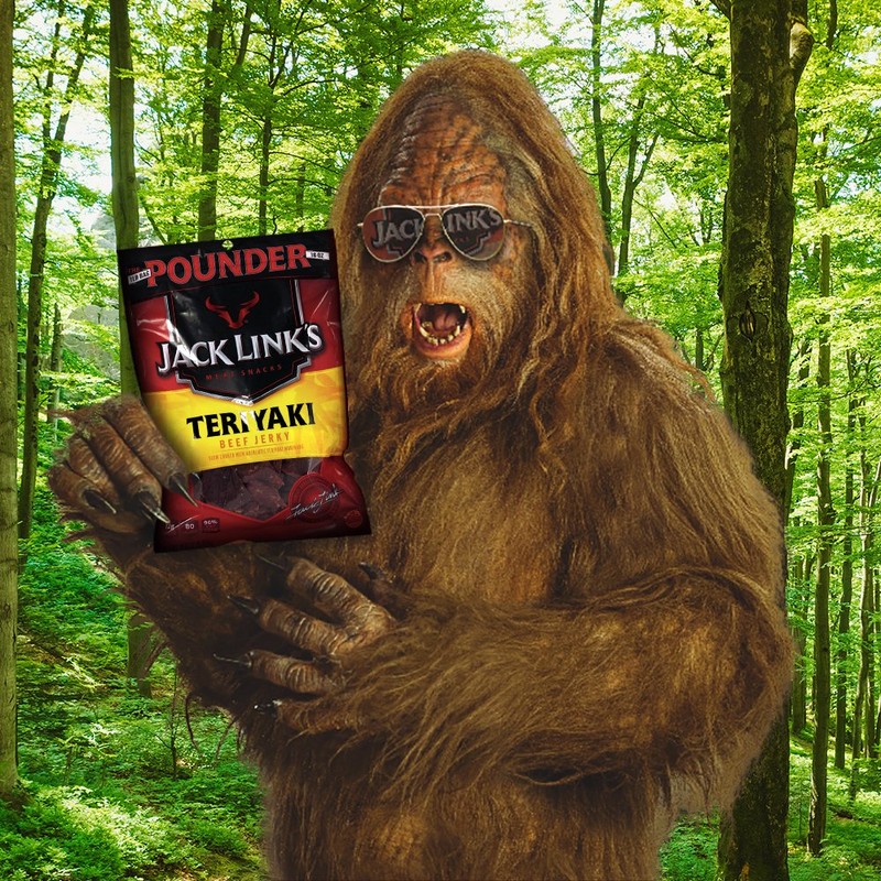 Jack Link's Beef Jerky, Teriyaki, 16 Ounce (Pack of 1)