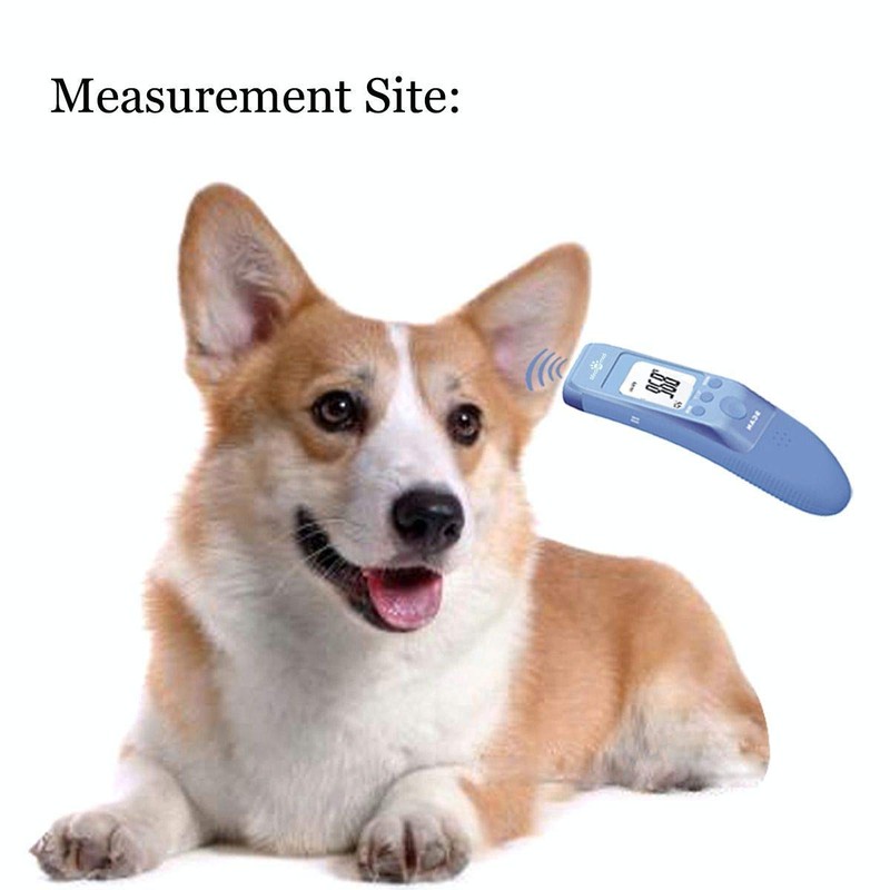 Mindpet-med Non-Contact Pet Thermometer for Dogs, Classic, Fast Clinical, 3