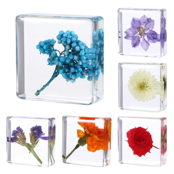 Qiuruoo Pressed Flower Paperweight, Dried Flower Paperweight, Paper Weights Decorative