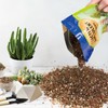 Doter Succulent & Cactus Soil Potting Mix 1qt, Chunky Dirt