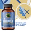 Pure Lab Vitamin | Slow Release Bioactive B Complex |