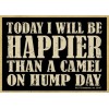 Today I Will Be Happier Than A Camel on Hump