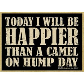 Today I Will Be Happier Than A Camel on Hump Day Fridge Magnet 2.5X3.5 NEW R