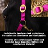 Horse Halter for Warm-Blood, Thoroughbred and Cold-Blood – Stable Halter,