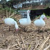 Heerweiyi Realistic Snow Goose Decoys - Durable and Detailed Hunting