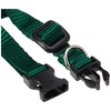 LupinePet Basics 1/2" Green 8-12" Adjustable Collar for Small Dogs