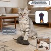Remote Control Mouse Cat Toy, Realistic RC Interactive Pet Toy