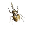 3D Metal Puzzles, Steampunk Bug Sculpture Hercules Beetle Mechanical Insects