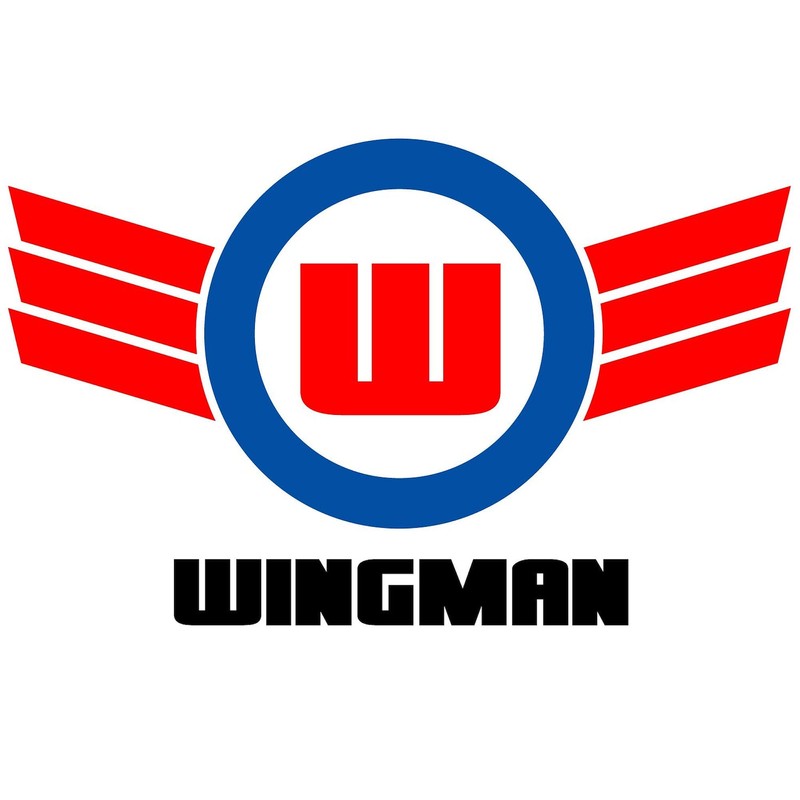 CafePress Wingman Rectangle Sticker Rectangle Bumper Sticker Car Decal