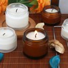 2oz Amber Glass Jars with Lids - Small Dark Glass