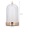 LED Night Light Multipurpose Stylish Innovative Remote Color Changing Crystal