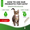 Probiotics for Cats for Digestive Support – Cat Probiotics for
