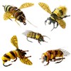 Fly Fishing Flies kit with Fly Box/Nymphs/Dry Fly,Wet Fly/Streamers/Realistic Flies