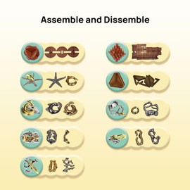 ActPo 9pcs Difficulty Retro Wooden and Metal Puzzles Challenging Game for Adults, Teens, and Kids Brain Teaser Cool Mind Puzzles