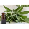 Abreiko Aceite Esencial De Salvia 100 Mililitros