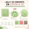 Juego Esponjas Baño Esponja Suave Cuadrada Exfoliación Limpieza Profunda Adecuado