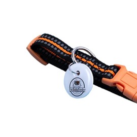 FurBabyFeeder Sphere RFID Tag Accessory - Extra Replacement Tag for Your Pet Feeder