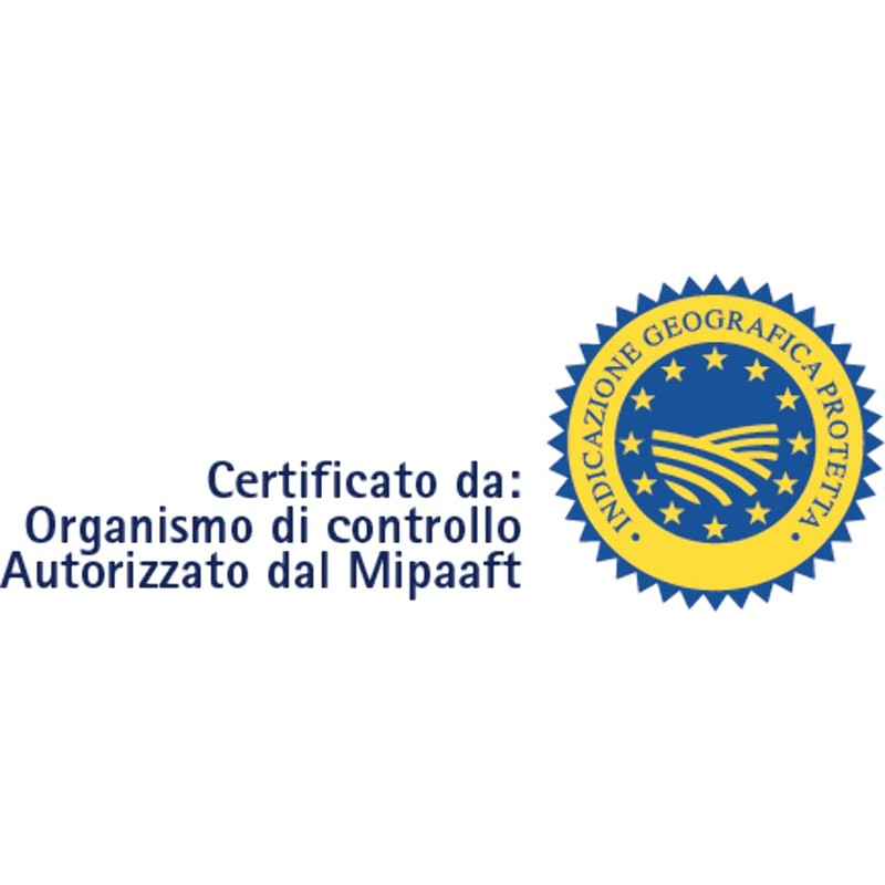 Gentile. SpaghettOne. Pasta di Gragnano I.G.P. 500g (1.1lb)