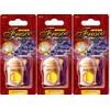 Areon Fresco Auto Duft Lavendel Blume Violett Glas Duftflakon Set