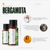 VIDA SCENTS OLEOS Aceite Esencial de Bergamota 10 ML 100%