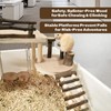 ZYPHOLIE Wooden Hamster Playground (Wood, Large)