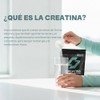 Creatina Monohidratada en Polvo - 30 Sticks Individuales | Sin