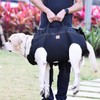 Backpack Carrier for Large Dog Full Body Dog Sling with